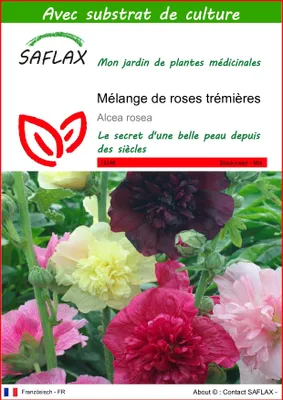Image de SAFLAX - Mélange de roses trémières - 100 graines - Avec substrat - Alcea