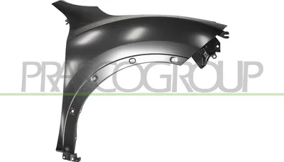 Produktbild von PRASCO DS7023023 Kotflügel Vorne Rechts für NISSAN JUKE (F15)