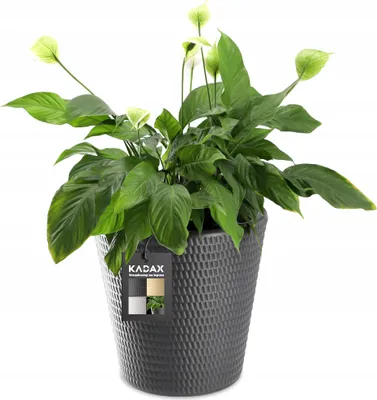 Zdjęcie produktu dla KADAX Donica Doniczka Osłonka Na Kwiaty Antracyt 40 cm