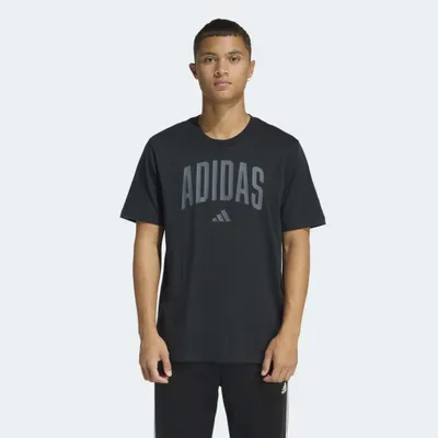 Immagine prodotto di adidas M COLLEGIATE T-shirt