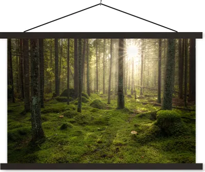 Produktbild von MuchoWow® Textilposter Wald - Sonne - Baum 90x60 cm mit schwarzem Rahmen - Aufhängungssatz