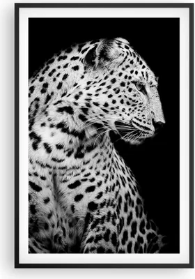 Produktbild von Gerahmtes Poster - Schwarzer Rahmen - Leopard Panther Katze - 61x91,5 cm - Wand Bild - Wanddeko - Wandbilder - Kunstposter - Wandposter - Bilderrahmen - Bilder - Kunstdruck - P2BPA61x91-4919