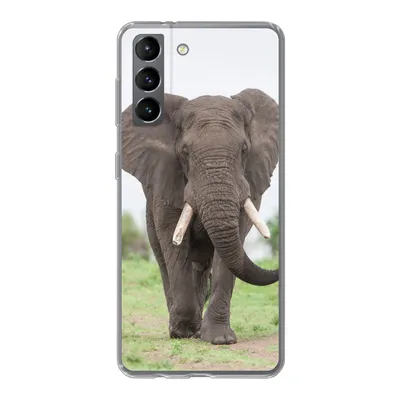 Produktbild von MuchoWow® Handyhülle Schutzhülle Hülle für Samsung Galaxy S21 Elefant - Tiere - Gras - Natur Silikon Softcase Handy Hülle - Softcase