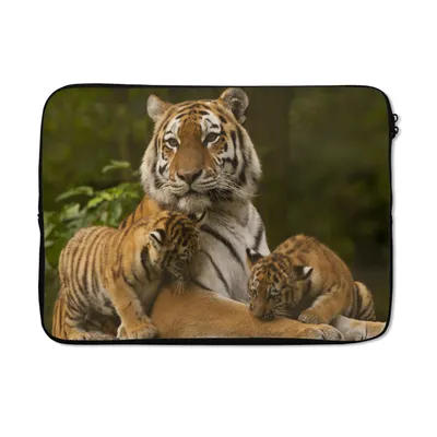 Produktbild von MuchoWow® Laptop Hülle 14 ZollTiger - Jungtiere - Natur Laptoptasche - Laptoptasche - Stoßsicher - Schutzhaube