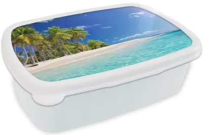 Produktbild von KitchenYeah® Lunchbox Brotzeit Brotdose 17x11 cm Strand - Meer - Palme Kinder Brotzeitdose - Lunch Box - Kinder - Sandwich-Box - Schulbox - Lunch Boxen