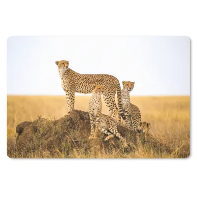Produktbild von MuchoWow® Mauspad Mousepad Gepard - Gras - Natur - Savanne 27x18 cm - Mousepads - Maus Mat - Pad - Mausunterlage - Büroartikel - Desk Matten