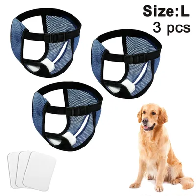 Three blue dog diapers and a golden retriever dog.