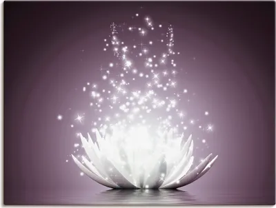 Produktbild von ARTland Leinwandbild Magie der Lotus-Blume - violet Größe: 40x30 cm