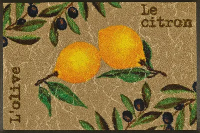 Produktbild von wash+dry Le Citron, Dekorative Fußmatte, Drinnen, Rechteckig, Mehrfarbig, Abbildung, 500 mm