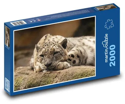 Produktbild von martinpuzzle - Puzzle 2000 Teile - Leopard - Wildkatze, Tier