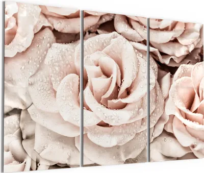 Produktbild von DEQORI Glasbild Echtglas 3x50x100 cm 'Taufrische Rosen' Wandbilder XXL groß