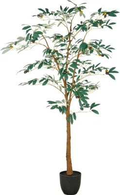 Produktbild von Kunstpflanze Olivenbaum H 160 cm grün