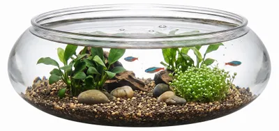 Produktbild von Omgoods – Transparentes, multifunktionales Aquarium