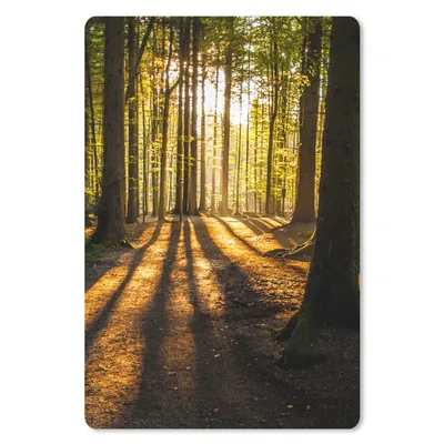 Produktbild von MuchoWow® Mauspad Mousepad Sonne - Bäume - Wald - Landschaft - Natur 18x27 cm - Mousepads - Maus Mat - Pad - Mausunterlage
