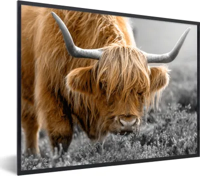 Produktbild von MuchoWow® Gerahmtes Poster Schottischer Highlander - Blumen - Kuh 80x60 cm - Poster mit Schwarzem Bilderrahmen Wandposter Rahmen Foto Bilder - Schwarzem - Mit Gestell
