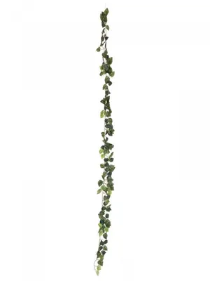 Productafbeelding van EUROPALMS Pothos-slingerkroon, kunstmatig, 180 cm (82503728)