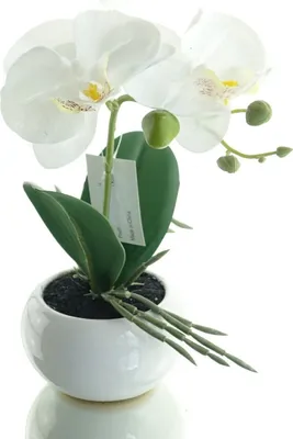 Produktbild von GASPER Orchidee Weiß im runden Keramiktopf - Kunstblumen