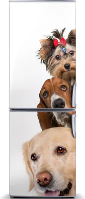 Produktbild von Tulup Kühlschrankdekoration - Magnetmatte - 60 cm x 180 cm - Magnet auf dem Kühlschrank - Hunde Und Katzen