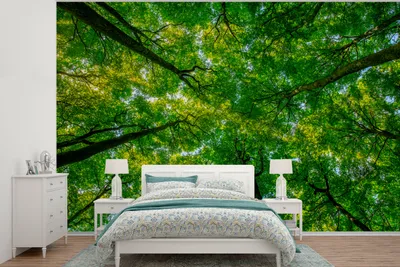 Produktbild von MuchoWow® Fototapete für Wohnzimmer oder Schlafzimmer Wandtapete Vinyl Motivtapete Wald - Bäume - Grün - 390x260 cm - Papiertapete