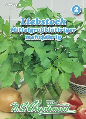 Produktbild von Liebstock Mittelgroßblättriger | Liebstöckelsamen von N.L. Chrestensen