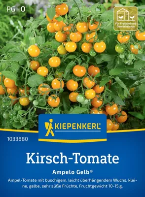 Produktbild von Kiepenkerl Kirsch-Tomatensamen Ampelo Gelb F1 Solanum lycopersicum 8 Pflanzen
