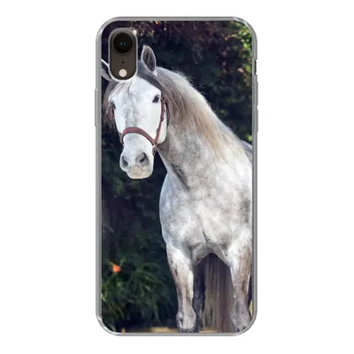 Produktbild von MuchoWow® Handyhülle Schutzhülle Hülle für iPhone XR Pferd - Halfter - Natur Silikon Softcase Handy Hülle - Schutzdeckel