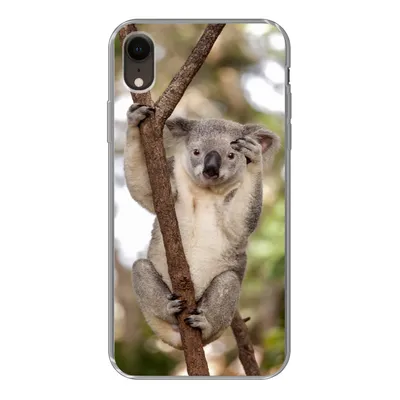 Produktbild von MuchoWow® Handyhülle Schutzhülle Hülle für iPhone XR Koala - Äste - Tier - Kinder - Jungen - Mädchen Silikon Softcase Handy Hülle - Schutzdeckel