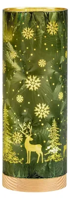 Produktbild von formano LED Deko Licht Weihnachten 25 cm Grün mit Timer 6h/18h