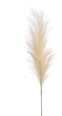 Produktbild von künstliches Pampasgras Federzweig creme H. 100cm Emerald Kunstblumen