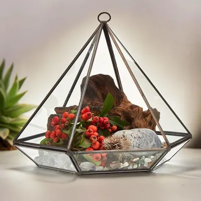 Imagen del producto de Terrario de Vidrio - Gran Diamante
