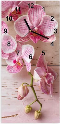 Produktbild von Wanduhr aus Glas mit Motiv Orchideen_tabletop- 30 x 60 cm - inkl. Aufhängesystem