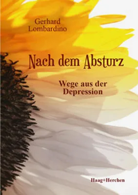 Produktbild von Nach dem Absturz