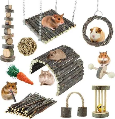 Produktbild von Hamster Spielzeug mit Holz Kaukorb und Leiter für Kleine Nagetiere