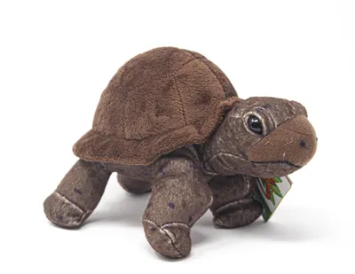 Produktbild von Wild Republic - Kuscheltier - Cuddlekins - Landschildkröte