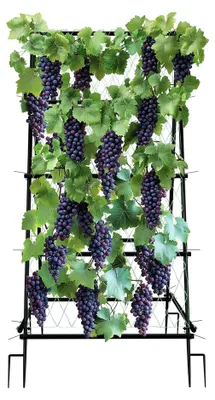 Zdjęcie produktu dla Metalowa konstrukcja do roślin pnących - kształt litery "A" - do roślin pnących i warzyw - z siatką - 105x105x176 cm - czarna