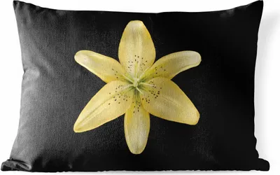 Produktbild von MuchoWow® Outdoor Kissen - Eine gelbe Lilienblüte auf schwarzem Hintergrund - 60x40 cm - Wetterfest - Lounge Kissen - Zierkissen - Kissen für Innenräume