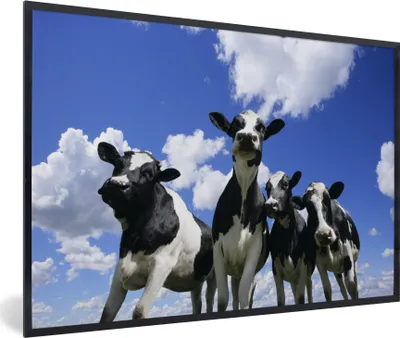 Produktbild von MuchoWow® MuchoWow® Gerahmtes Poster Kuh - Luft - Tiere 60x40 cm - Poster mit zchwarzem Bilderrahmen - Printing - Wanddeko Schlafzimmer