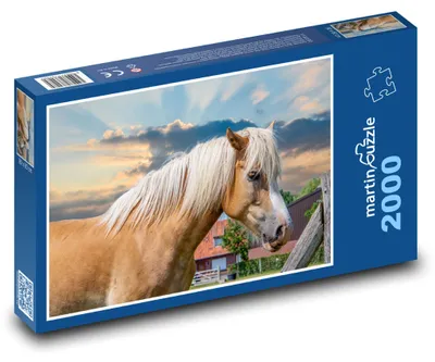 Obrázok produktu pre martinpuzzle - Puzzle 2000 - Kôn
