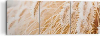 Produktbild von Bild auf Leinwand - Leinwandbild - 3 Teile - Gras Boho Licht - 120x40cm - Wand Bild - Wanddeko - Wandbilder - Leinwanddruck - Bilder - Wanddekoration - Leinwand bilder - Wandbild - CA120x40-4903
