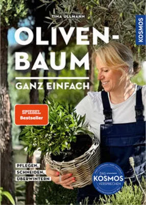 Image de Olivenbaum ganz einfach