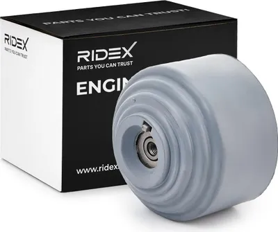 Produktbild von RIDEX Motorlager Hydrolager Vorne Rechts passend für MERCEDES-BENZ E-Klasse Limousine (W211) 247E0210