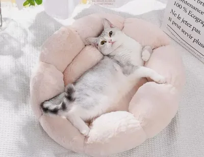 Produktbild von Tierschatz Plüsch Haustierbett, Katzenbett Katzenliege in Beige, Waschbares Flauschiges Katzenkissen, Gemütliches Haustierkissen 50cm Größe M
