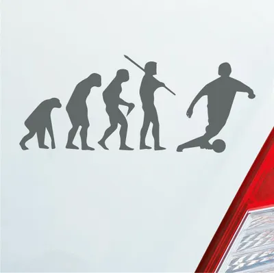 Produktbild von Auto Aufkleber Evolution Soccer Fussball Sport Fußball 15x6 cm Grau Sticker Heckscheibenaufkleber
