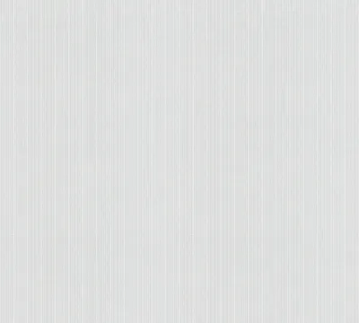 Produktbild von A.S. Création Vliestapete Meistervlies Pro Protect 2, weiss, überstreichbar, 25,00 m x 1,06 m, 644817, 6448-17