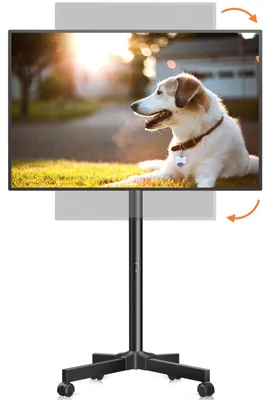 Obrázek produktu pro TV stojan - Mobilní na kolečkách - 33 až 127 cm - Otočný - 20 kg - Výškově nastavitelný - Pro ploché a zakřivené obrazovky