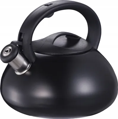 Immagine prodotto di Bollitore Nero Universale A Induzione A Gas In Acciaio Inossidabile 3 L