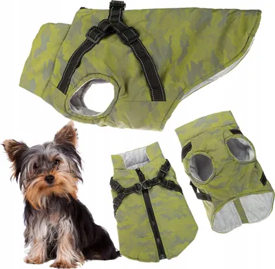 Produktbild von Hundewintermantel mit Hosenträgern 2in1 glow-in-the-dark isoliert S
