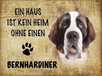 Produktbild von vianmo Holzschild 30x40 cm Bernhardiner Hund ohne kein Heim