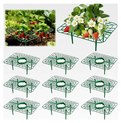 Produktbild von 10 Stück quadratische Erdbeerstützen mit Schneckenschutz, abnehmbares Pflanzenregal für Balkon und Erdbeernetze, Schneckenschutz für Hochbeete
