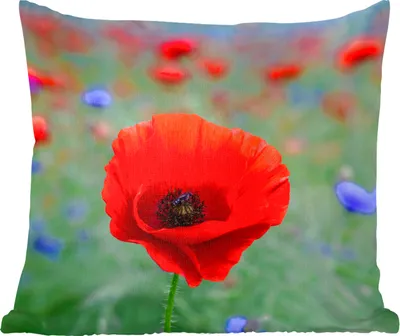Produktbild von MuchoWow® Zierkissen Sofakissen Wohnzimmer Dekokissen 40x40 cm Lila und rote Mohnblumen auf einer Wiese - Foto Kissen - Schlafzimmer Dekoration